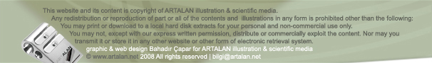 copyrights notice