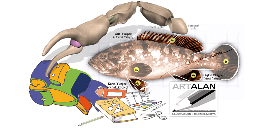 www.artalan.net